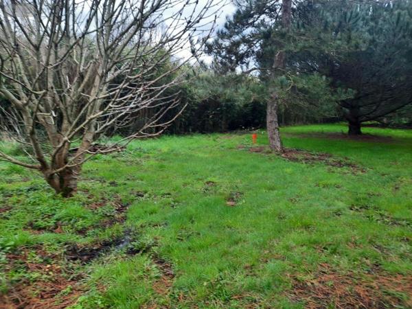 Terrain à Batir à vendre à Saint-Urbain en Vendée (85230), ref : 85091-5087