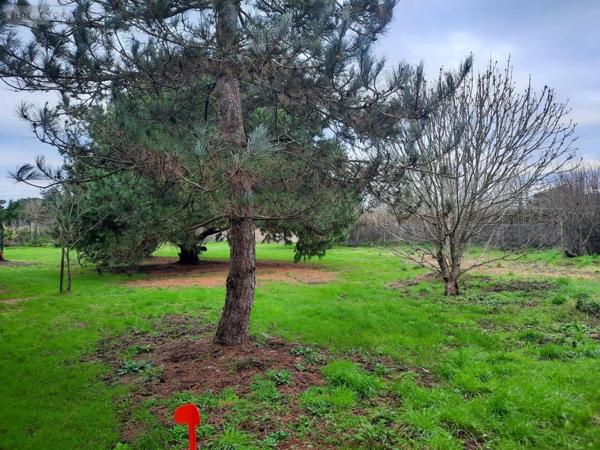 Terrain à Batir à vendre à Saint-Urbain en Vendée (85230), ref : 85091-5087