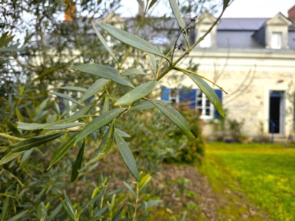 Magnifique Longère, ses 9 chambres et ses pièces de réception !