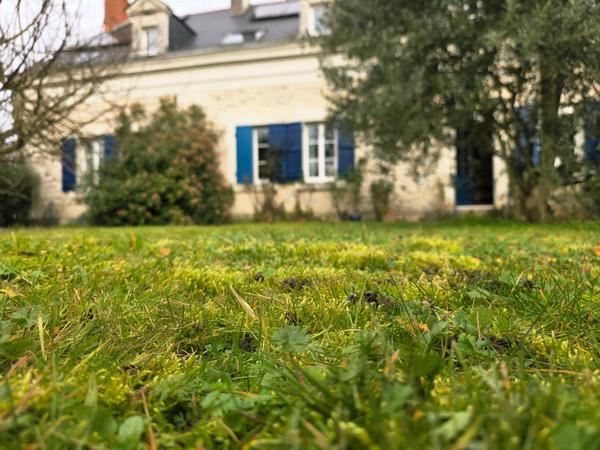 Magnifique Longère, ses 9 chambres et ses pièces de réception !