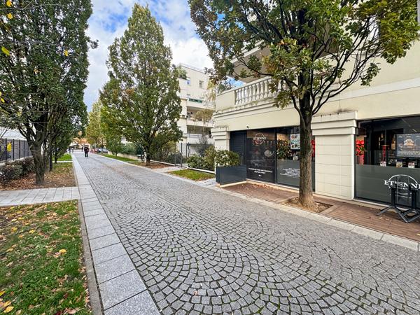 CENTRE-VILLE - Magnifique appartement de 100 m² + Loggia de 20 m²