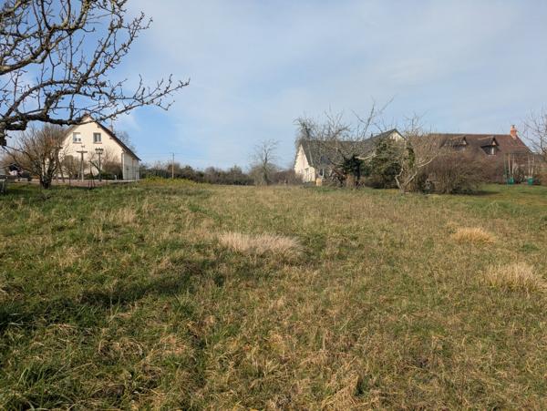 ONZAIN - 20 KMS DE BLOIS - 20 KMS D'AMBOISE