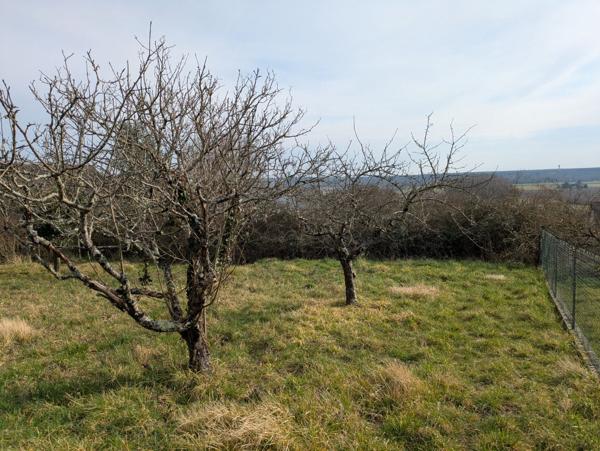 ONZAIN - 20 KMS DE BLOIS - 20 KMS D'AMBOISE