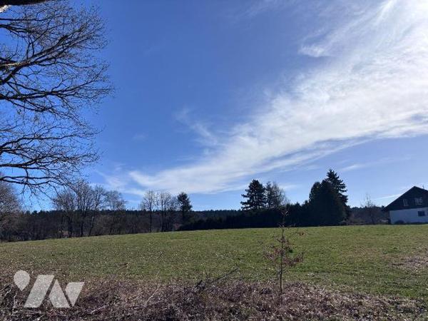 A VENDRE TERRAIN A BATIR LE VAL D'AJOL VOSGES 88340
Terrain à bâtir de 8426 pour une surface t...