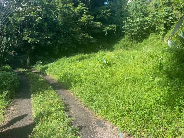 Terrain constructible de 2 052 m2 aux Trois Ilets