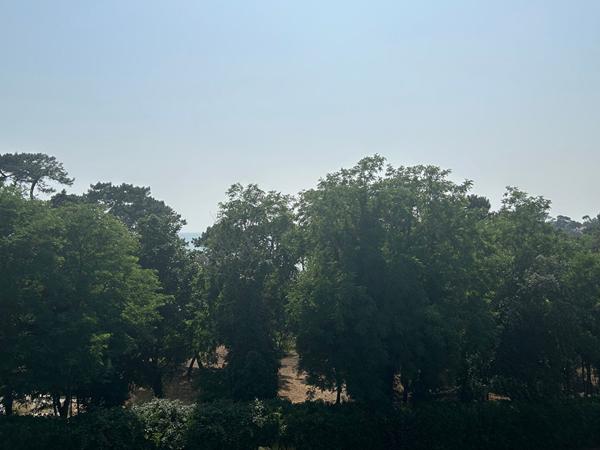 17640 VAUX SUR MER Vaux Sur Mer, apercu mer