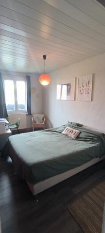 Très bel appartement duplex de 160 m² sur un Terrain de 150 m² avec Terrasse en élévation de 35 m² Chaffois 25300