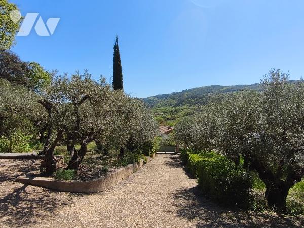 Villa avec piscine sur terrain 2434 m² avec oliviers