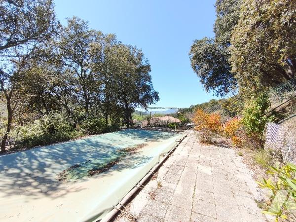 Villa avec piscine sur terrain 2434 m² avec oliviers