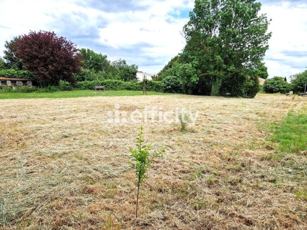 Terrain - 1147 m²