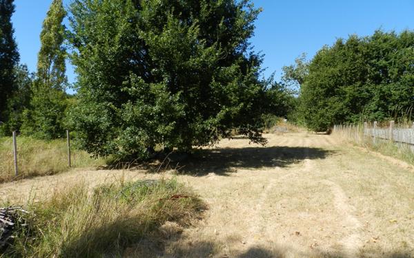 Terrain à vendre    Le Château-d'Oléron