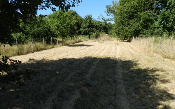 Terrain à vendre    Le Château-d'Oléron