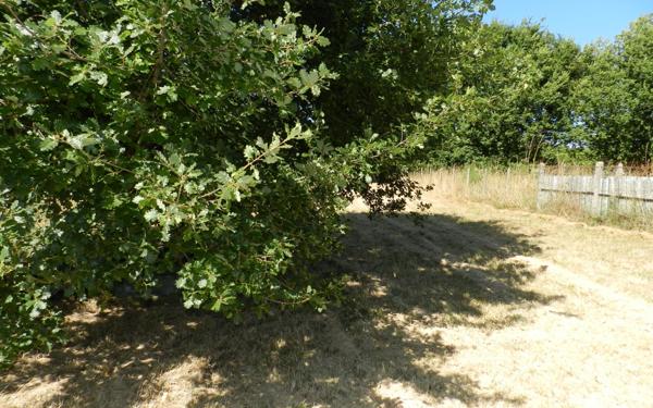 Terrain à vendre    Le Château-d'Oléron