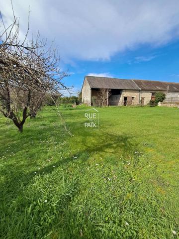 86100 ANTRAN Maison à rafraichir à Antran avec dépendances et jardin !