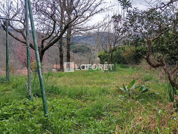 Achat maison Prats-de-Mollo-la-Preste - 7 pièce(s) - 133 m² - 202 000 €