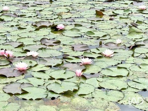 Terrain à vendre 10 501 m² Bourgbarré