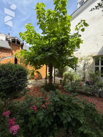 EXCEPTIONNEL,  coeur de ville : maison de 358 m²  le charme ancien rencontre le confort contemporain