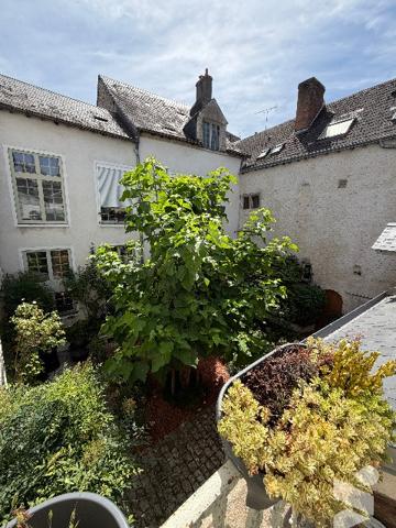EXCEPTIONNEL,  coeur de ville : maison de 358 m²  le charme ancien rencontre le confort contemporain
