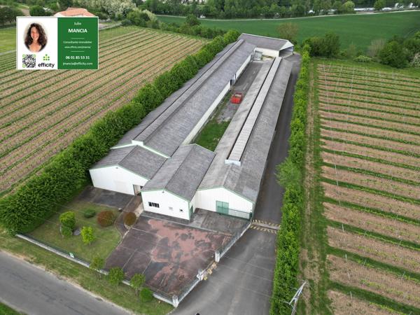 Local Commercial 6 pièces - 2282 m²