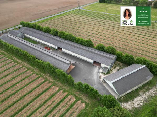 Local Commercial 6 pièces - 2282 m²