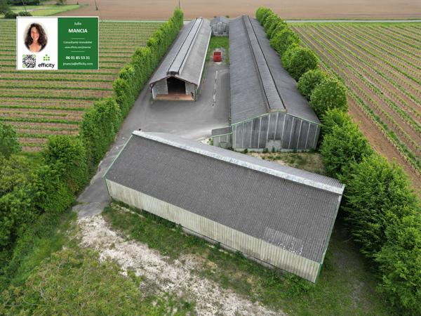 Local Commercial 6 pièces - 2282 m²