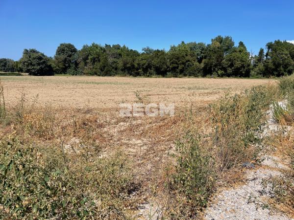 Saint-Estève (66240) Mas ancien à rénover de caractère en vente à Saint-Estève 66240