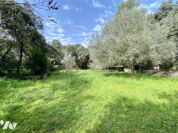 Une parcelle de terrain à bâtir de 800 m²