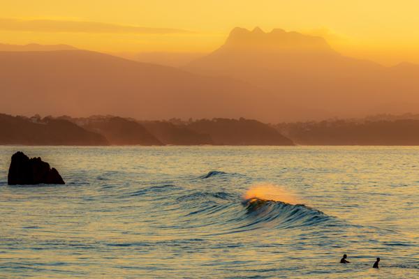 Biarritz (64200) HORTENSIA