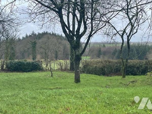 Vente maison LANGOURLA