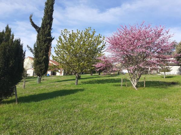 Magnifique terrain constructible