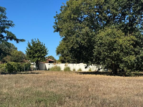 Terrain à DOLUS-D'OLERON, 17550 - 1058m²