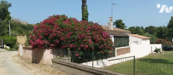 Maison à vendre Prunelli-di-Fiumorbo