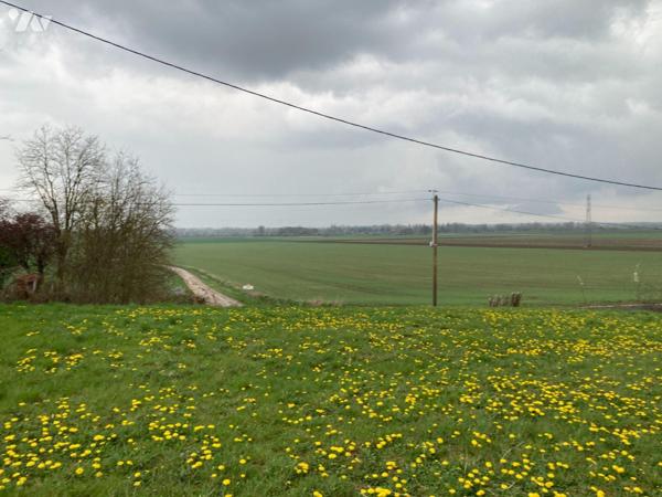 A VENDRE MONTCEAUX LES VAUDES (10260), 7mins de SAINT PARRES LES VAUDES (10260) et 25mins de TR...