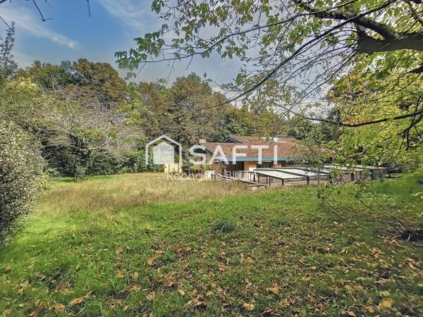 Maison d'architecte  dans  son écrin de verdure.
