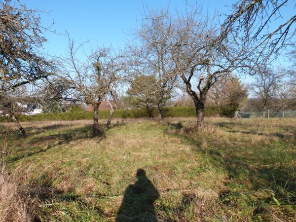 Dpt Moselle (57), à vendre proche de SARREGUEMINES terrain - Terrain de 820,00 m²