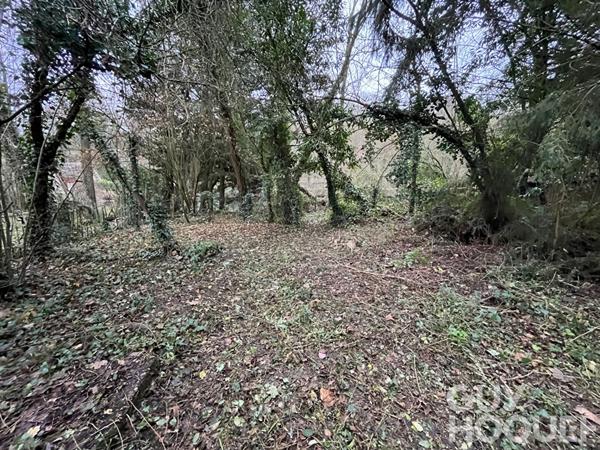 Terrain de loisirs avec bord de Loir CHATEAUDUN