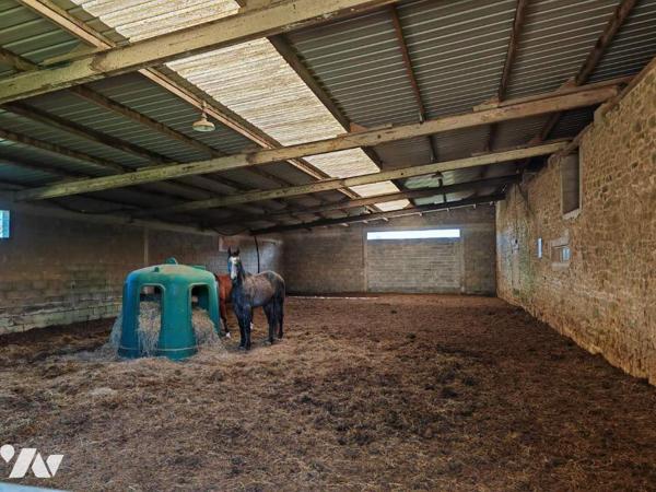 Propriété équestre avec 8 ha de terres