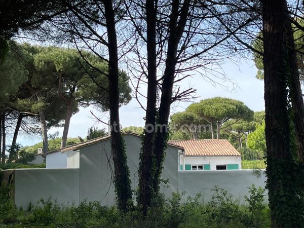 Maison dans la pinède de 5 pièces avec possibilités LE BOIS PLAGE EN RE 17580