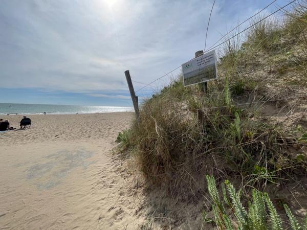 Maison dans la pinède de 5 pièces avec possibilités LE BOIS PLAGE EN RE 17580