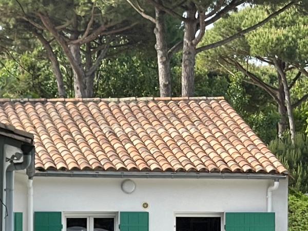 Maison dans la pinède de 5 pièces avec possibilités LE BOIS PLAGE EN RE 17580