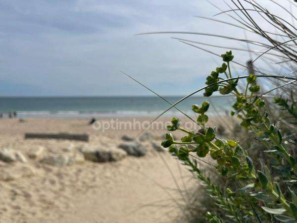 Maison dans la pinède de 5 pièces avec possibilités LE BOIS PLAGE EN RE 17580