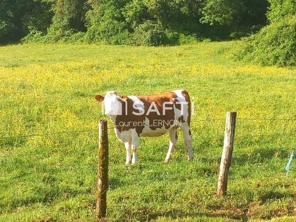 TERRAIN A BATIR VIABILISE DE 816 M²