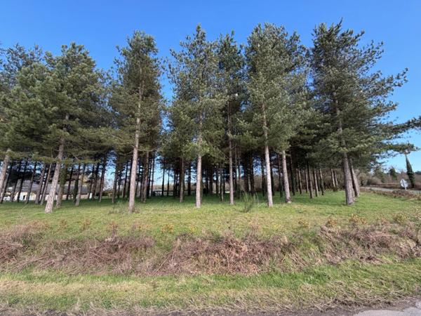 Terrain à vendre de 3 000,00 m² TIERCE (49)