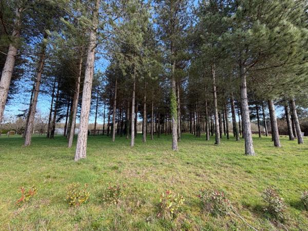 Terrain à vendre de 3 000,00 m² TIERCE (49)