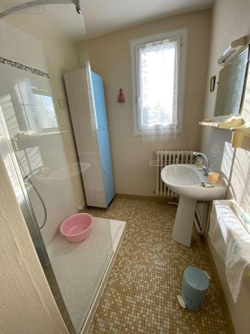 Maison à vendre à Châtillon-sur-Indre dans l'Indre (36700), ref : 1052299