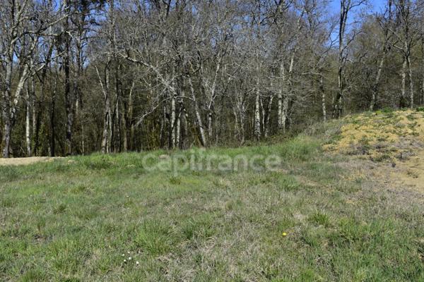Terrain 1 000 m² à CURSAN (33)