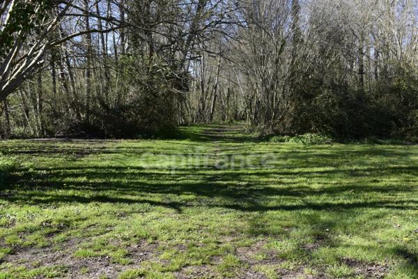 Terrain 1 000 m² à CURSAN (33)