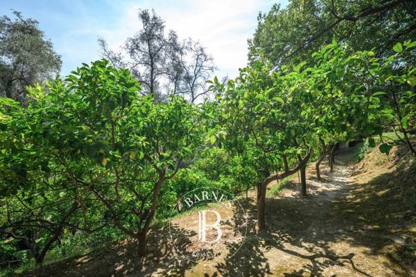 Menton, Maison  743 m² à vendre