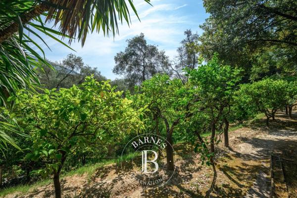 Menton, Maison  743 m² à vendre