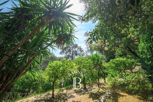 Menton, Maison  743 m² à vendre